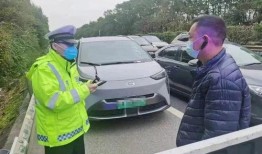 肇庆交警大爆料最新消息,多起交通违法行为引发关注