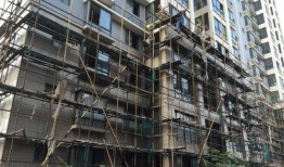 柳州烂尾爆料最新消息,揭秘背后真相与后续处理措施