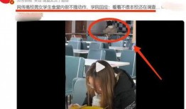 辣眼视频爆料大全最新,揭秘娱乐圈惊人内幕，带你领略真实幕后