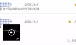 怎么看最新爆料记录呢视频,视频记录背后的真相揭晓