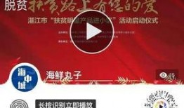 海洋最新爆料新闻报道,揭秘深海神秘现象与未知生物