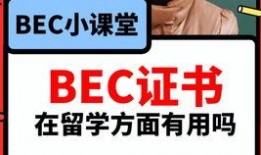 大舅英语爆料视频大全最新,视频大全中的趣味英语学习之旅