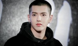 杨紫吴亦凡最新八卦爆料,最新八卦爆料揭秘真相