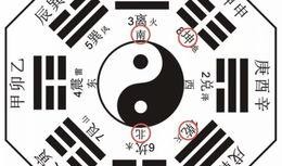 八卦爆料临沂最新消息