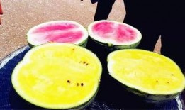 最新吃瓜爆料免费观