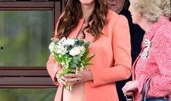 凯特王妃最新爆料视频大全,最新爆料视频大盘点