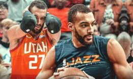 戈贝尔爆料最新消息,揭秘篮球界惊人内幕