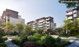 24款unit最新爆料,前瞻性功能与设计革新揭秘