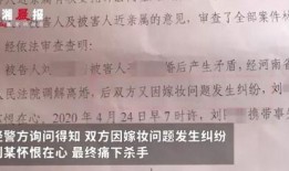 河南家长爆料视频最新,揭秘校园安全问题